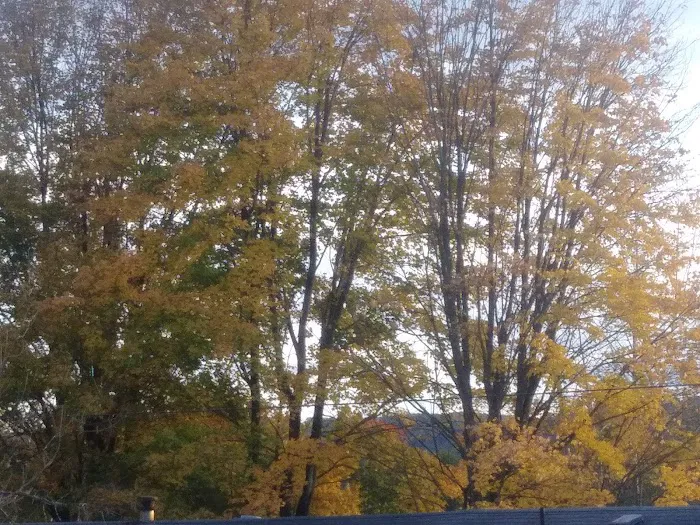 Riverside Estates - Mobile Home Community Picture 4