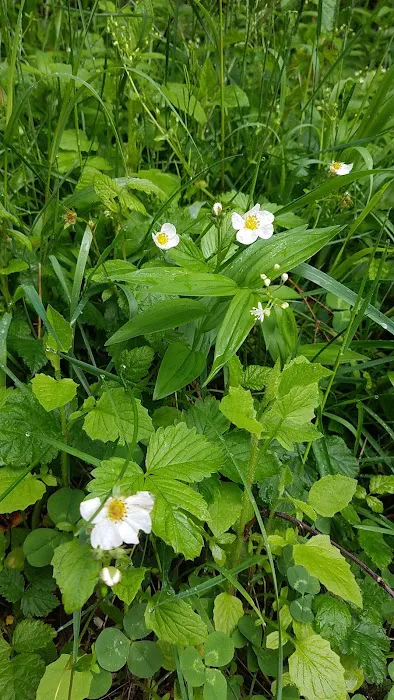 Camp Cooper Picture 7