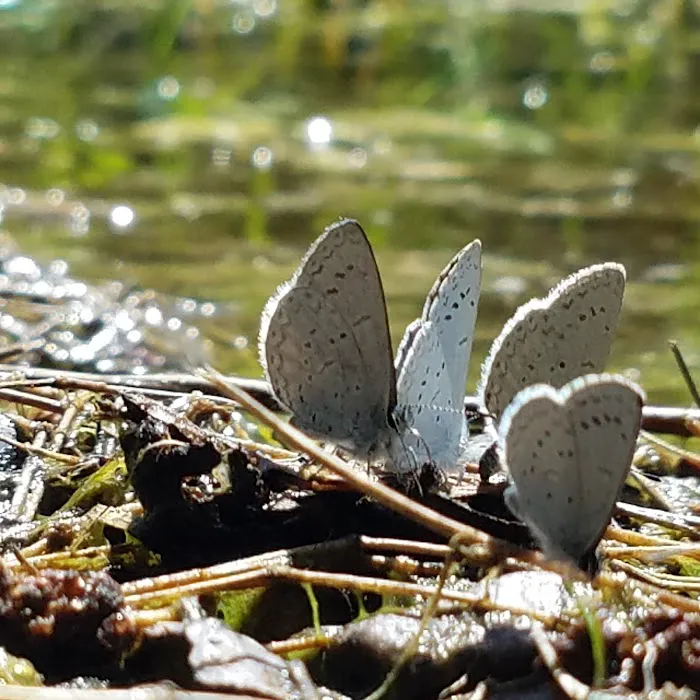 Camp Cooper Picture 9