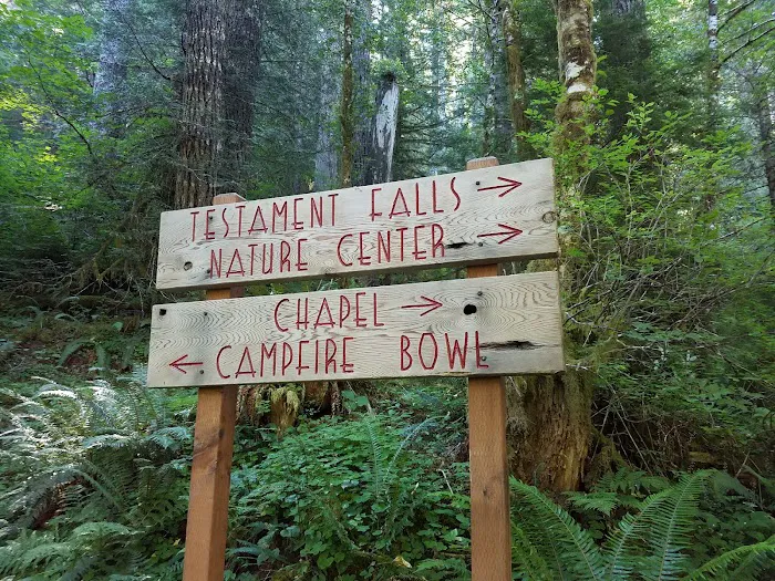 Camp Cooper Picture 8