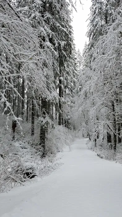 Camp Cooper Picture 4