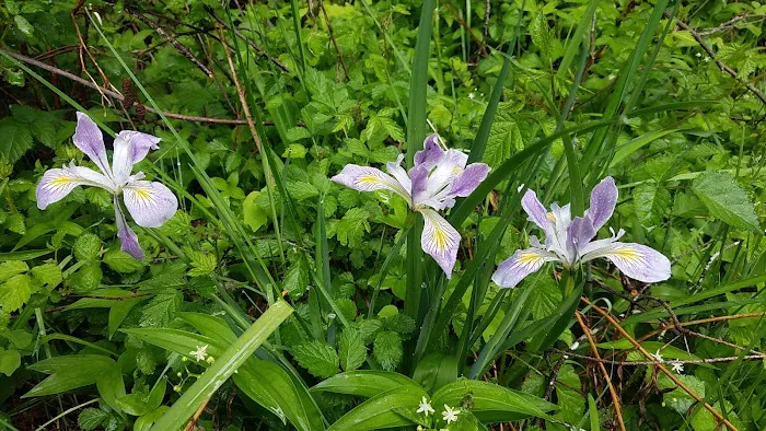 Camp Cooper Picture 3