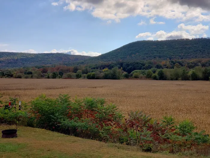 Meredith Colony RV Park Picture 3