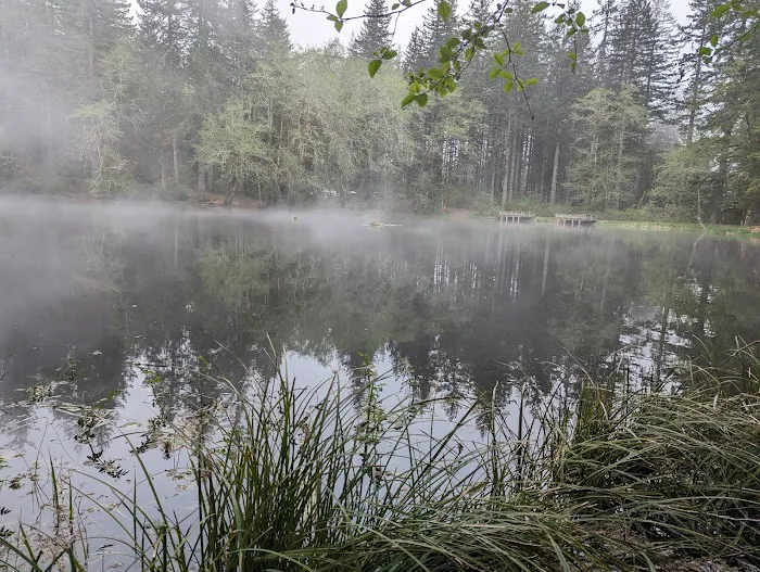 Hebo Lake Campground Picture 4