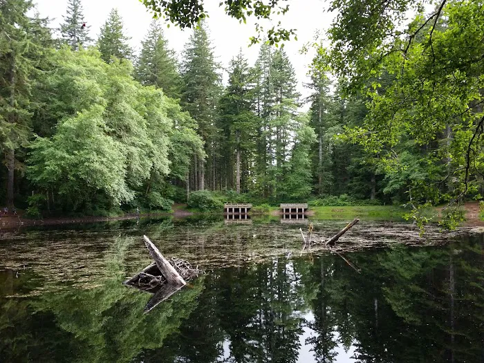 Hebo Lake Campground Picture 1