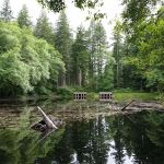 Hebo Lake Campground