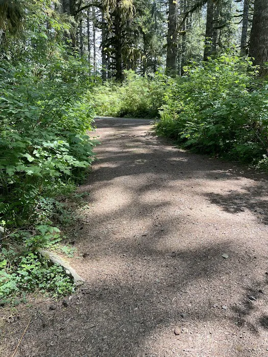 Hebo Lake Campground Picture 7