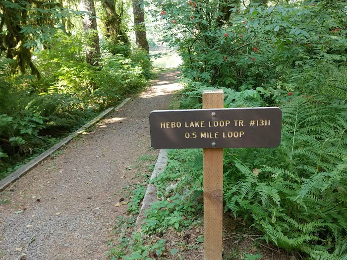 Hebo Lake Campground Picture 9