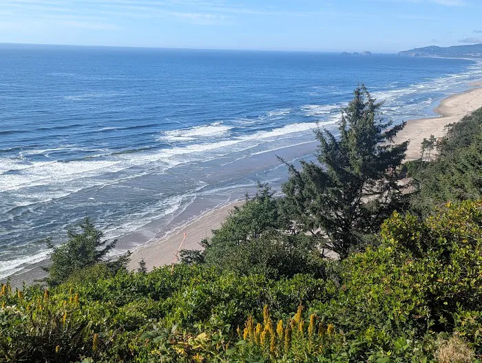 Cape Lookout State Park Campground Picture 8