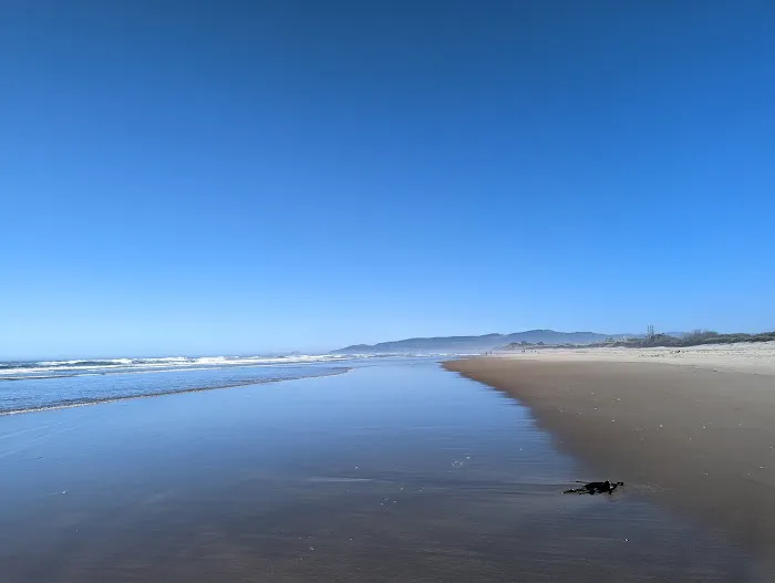 Cape Lookout State Park Campground Picture 1