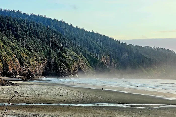 Cape Lookout State Park Campground Picture 9