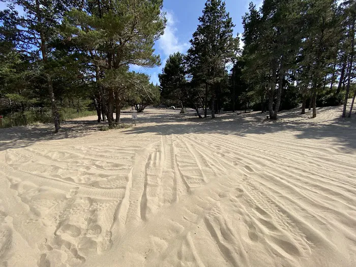 Derrick Road Dispersed Camping Area Picture 5