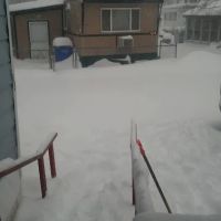 Town and Country Trailer Park ico