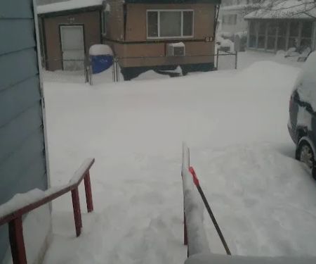 Town and Country Trailer Park