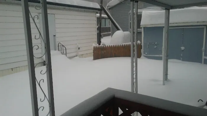 Town and Country Trailer Park Picture 2