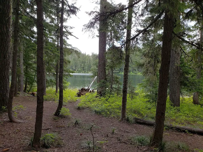 Lower Twin Campground Picture 4