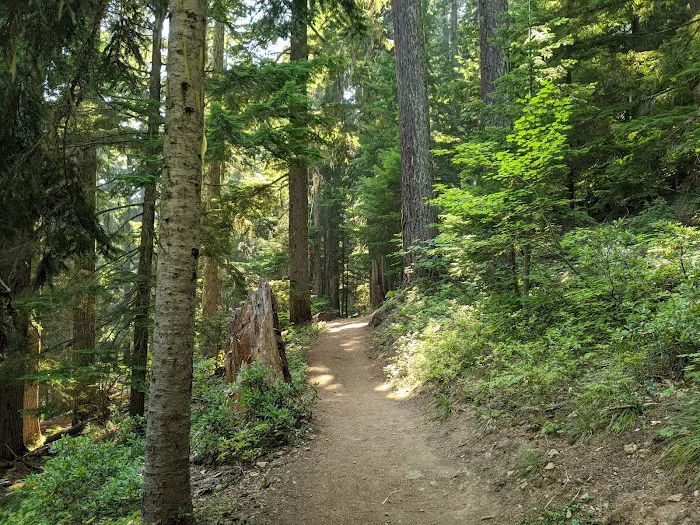 Lower Twin Campground Picture 7