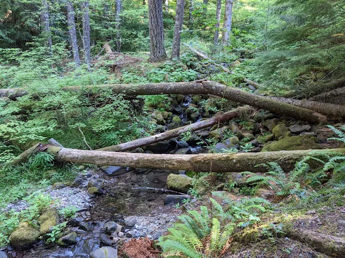 Goat Creek Campground Picture 3