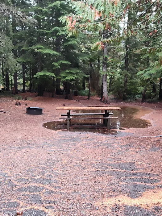 Frog Lake Campground Picture 5