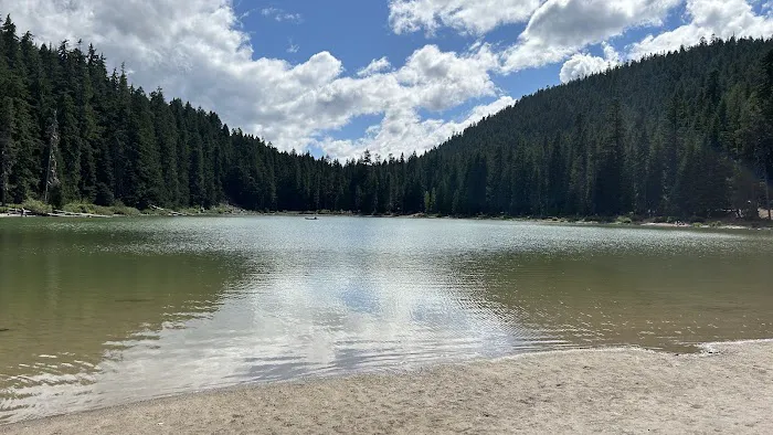 Frog Lake Campground Picture 6