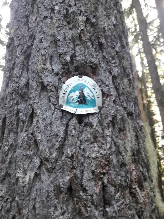 Frog Lake Campground Picture 9