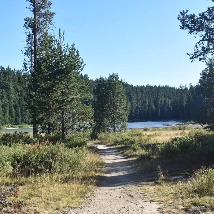 Frog Lake Campground Picture 10