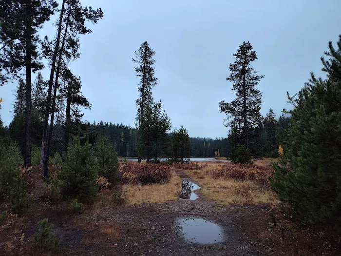 Frog Lake Campground Picture 7
