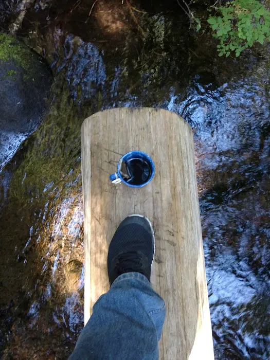 Forest Creek Campground Picture 4