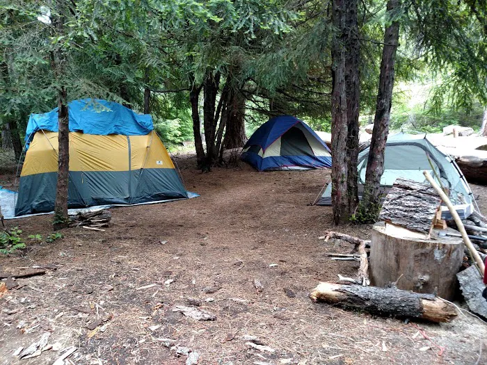 Forest Creek Campground Picture 1