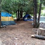 Forest Creek Campground