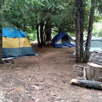 Forest Creek Campground ico
