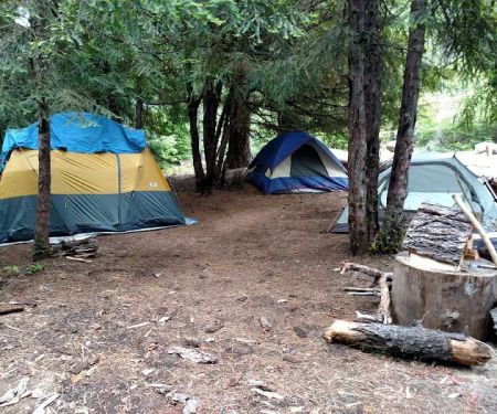 Forest Creek Campground