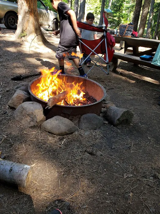Forest Creek Campground Picture 5