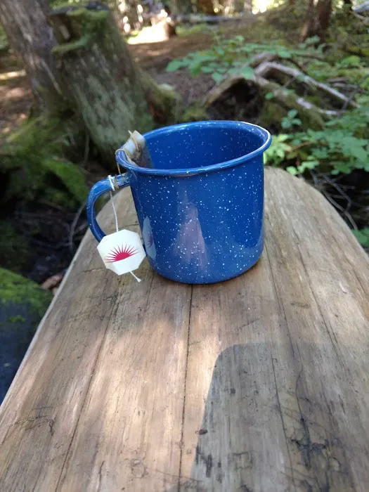 Forest Creek Campground Picture 6