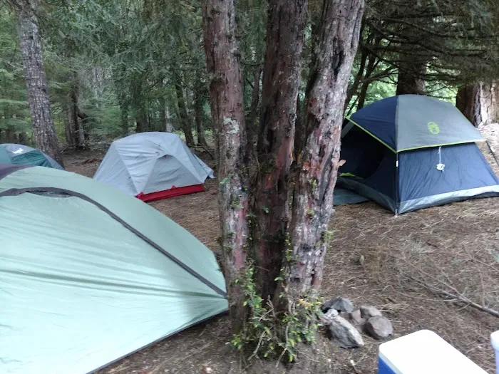 Forest Creek Campground Picture 9