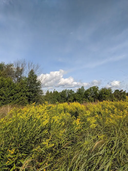 Twin Cedars of Avon Picture 3