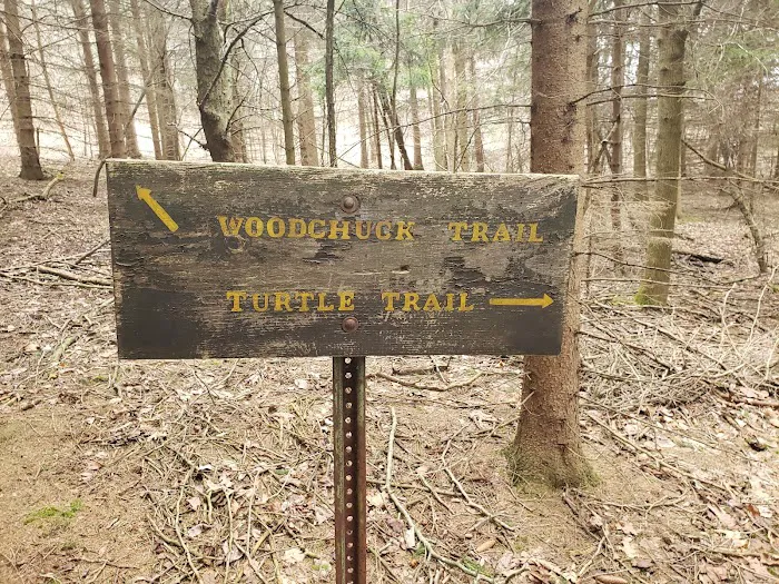 Twin Cedars of Avon Picture 10