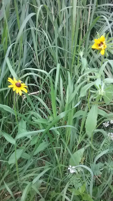 Twin Cedars of Avon Picture 9