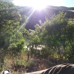 Four Chutes Campsite