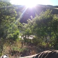 Four Chutes Campsite ico