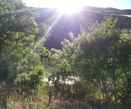 Four Chutes Campsite