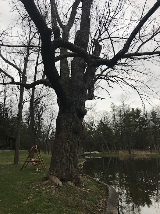 Creekside Park Picture 1