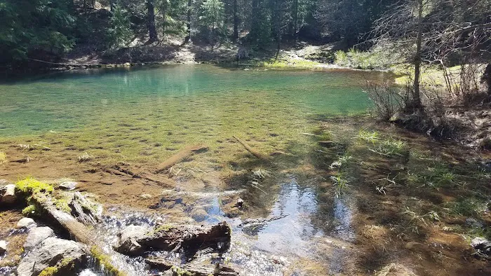 McCubbins Gulch Campground Picture 5