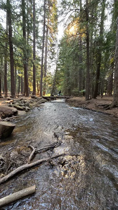 McCubbins Gulch Campground Picture 7