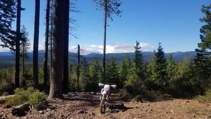 McCubbins Gulch Campground Picture 10