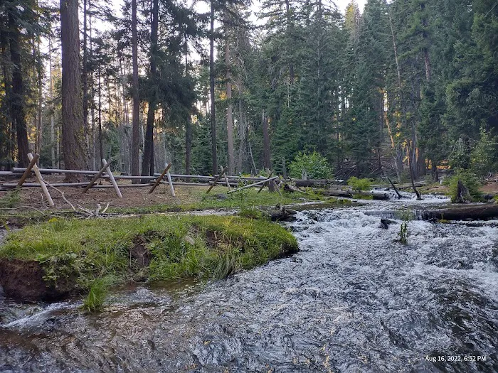 McCubbins Gulch Campground Picture 8