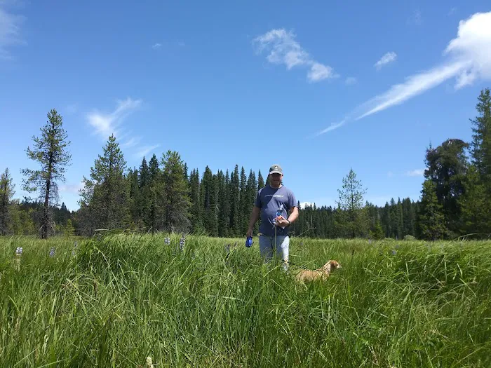 Bear Springs Group campground Picture 8