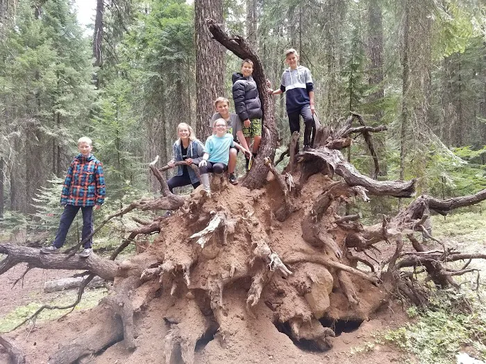 Bear Springs Group campground Picture 10