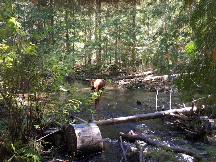 Clear Creek Crossing Campground Picture 5