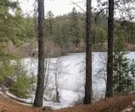 Lyman Lake Campground